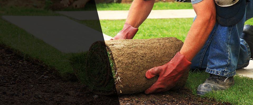 Manakin Sabot Landscapers